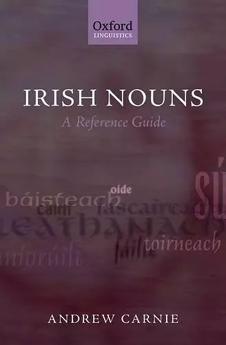 Irish Nouns cover