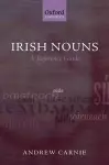 Irish Nouns cover