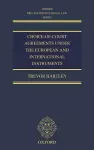 Choice-of-court Agreements under the European and International Instruments cover