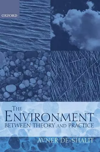 The Environment Between Theory and Practice cover