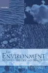 The Environment Between Theory and Practice cover