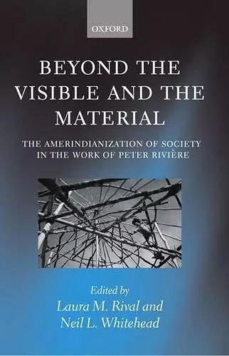 Beyond the Visible and the Material cover