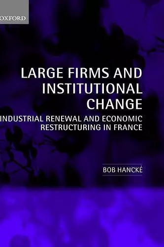 Large Firms and Institutional Change cover