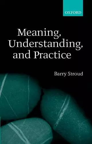 Meaning, Understanding, and Practice cover