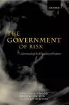 The Government of Risk cover