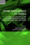 From Underdogs to Tigers cover