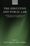 The Executive and Public Law cover