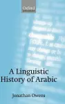 A Linguistic History of Arabic cover