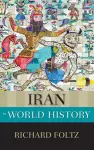 Iran in World History cover