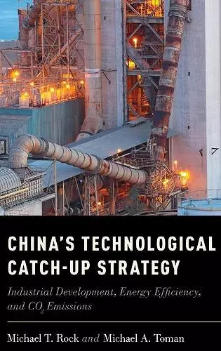 China's Technological Catch-Up Strategy cover