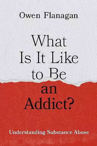 What Is It Like to Be an Addict? cover