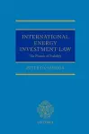 International Energy Investment Law cover