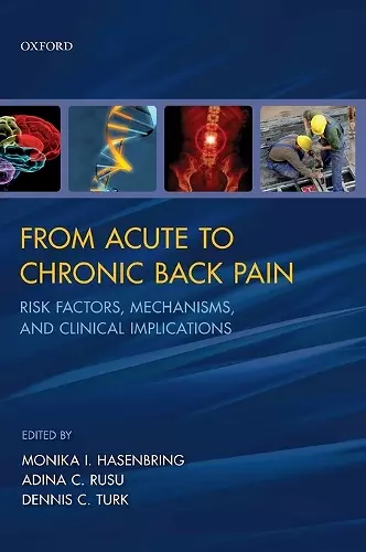 From Acute to Chronic Back Pain cover