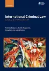 International Criminal Law: Cases and Commentary cover