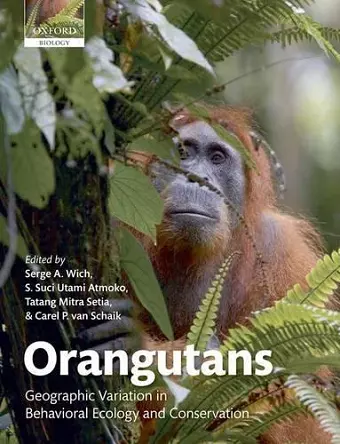 Orangutans cover