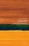 Homer cover