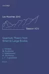 Quantum Theory from Small to Large Scales cover