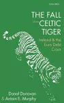 The Fall of the Celtic Tiger cover