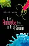 The Amoeba in the Room cover