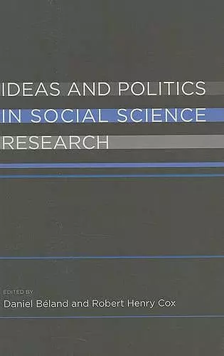 Ideas and Politics in Social Science Research cover