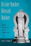 Divine Mother, Blessed Mother cover