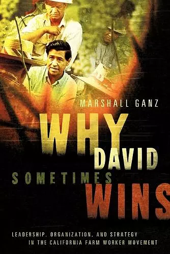 Why David Sometimes Wins cover