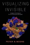 Visualizing the Invisible cover