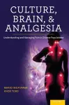 Culture, Brain, and Analgesia cover