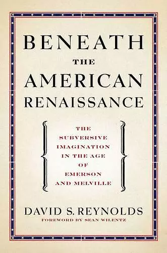 Beneath the American Renaissance cover