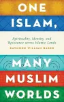 One Islam, Many Muslim Worlds cover