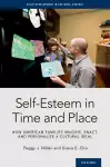 Self-Esteem in Time and Place cover