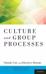 Culture and Group Processes cover