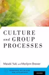 Culture and Group Processes cover