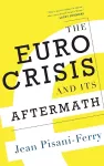 The Euro Crisis and Its Aftermath cover