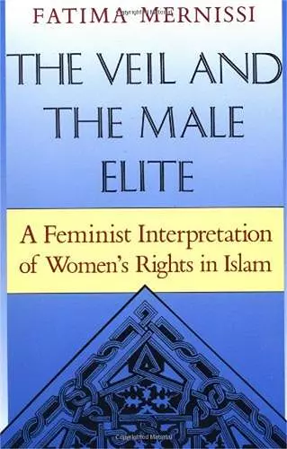 The Veil And The Male Elite cover