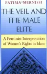 The Veil And The Male Elite cover
