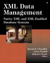 XML Data Management cover