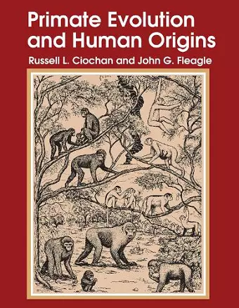 Primate Evolution and Human Origins cover