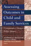 Assessing Outcomes in Child and Family Services cover