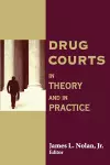 Drug Courts cover