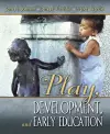 Play, Development and Early Education cover