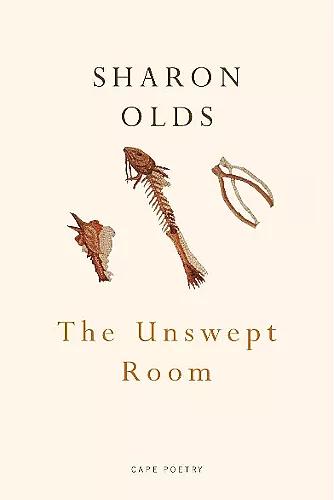 The Unswept Room cover