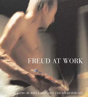 Freud At Work cover