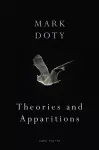 Theories and Apparitions cover