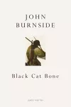 Black Cat Bone cover