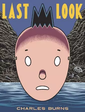 Last Look cover