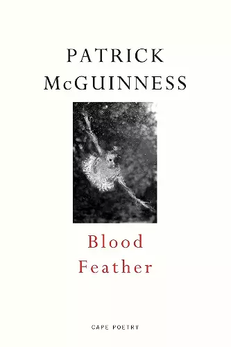 Blood Feather cover