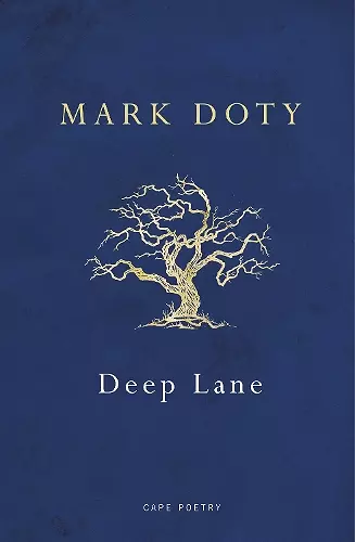Deep Lane cover