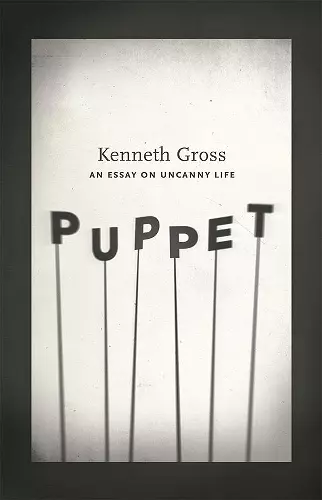 Puppet cover