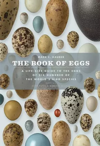 The Book of Eggs cover